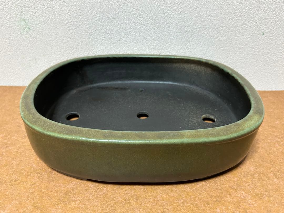 鴻陽　盆栽鉢　小品盆栽　山野草