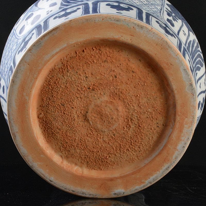 中国　青花　花卉魚藻文瓶　壷　C　R5596C