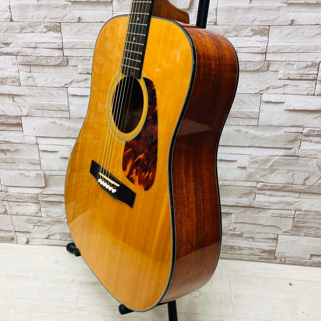 Morris ドレッドノートボディアコースティックギター M-01NAT