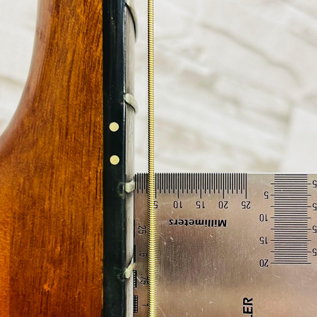 Morris ドレッドノートボディアコースティックギター M-01NAT