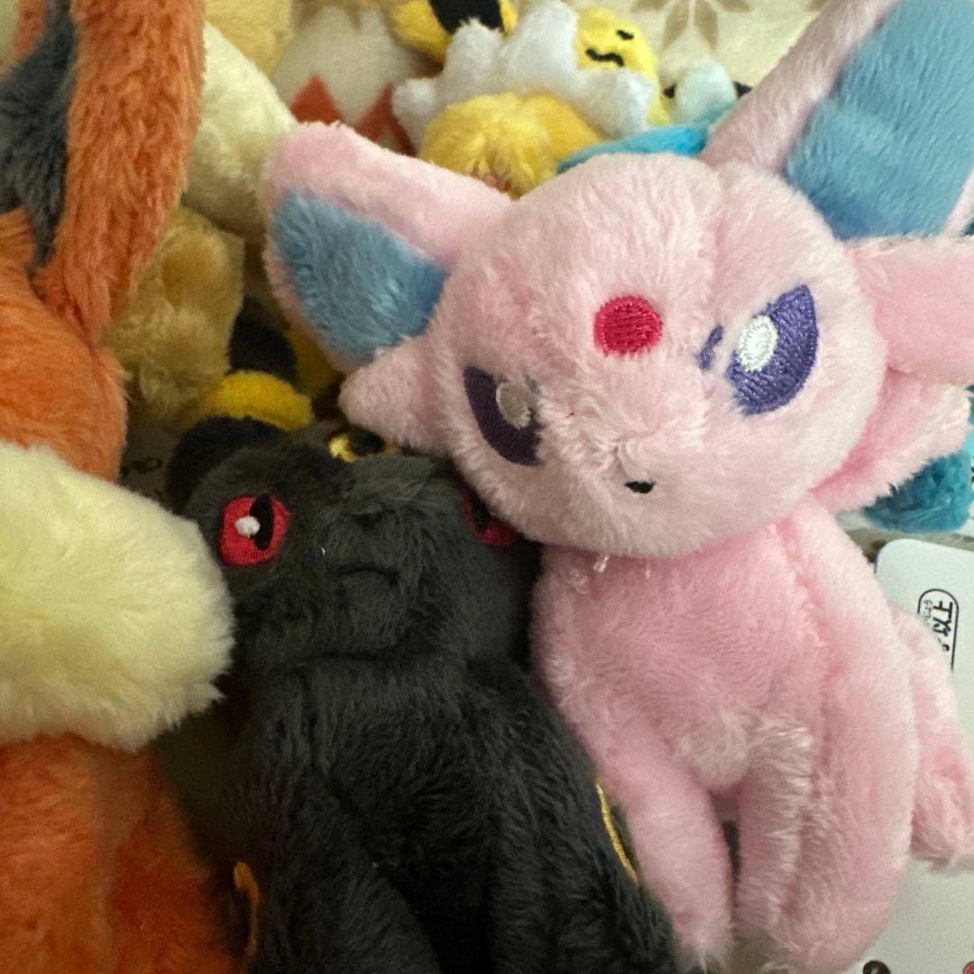 タグ付き ポケモンセンター カラビナ付きマスコット ぬいぐるみ ブイズセット