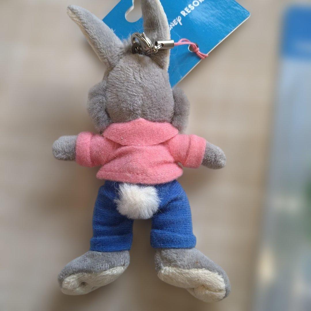 ディズニースプラッシュマウンテンうさぎどんセット