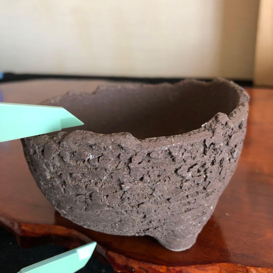 盆栽　山野草　サボテン　多肉植物鉢　4セット(11個)未使用品その他