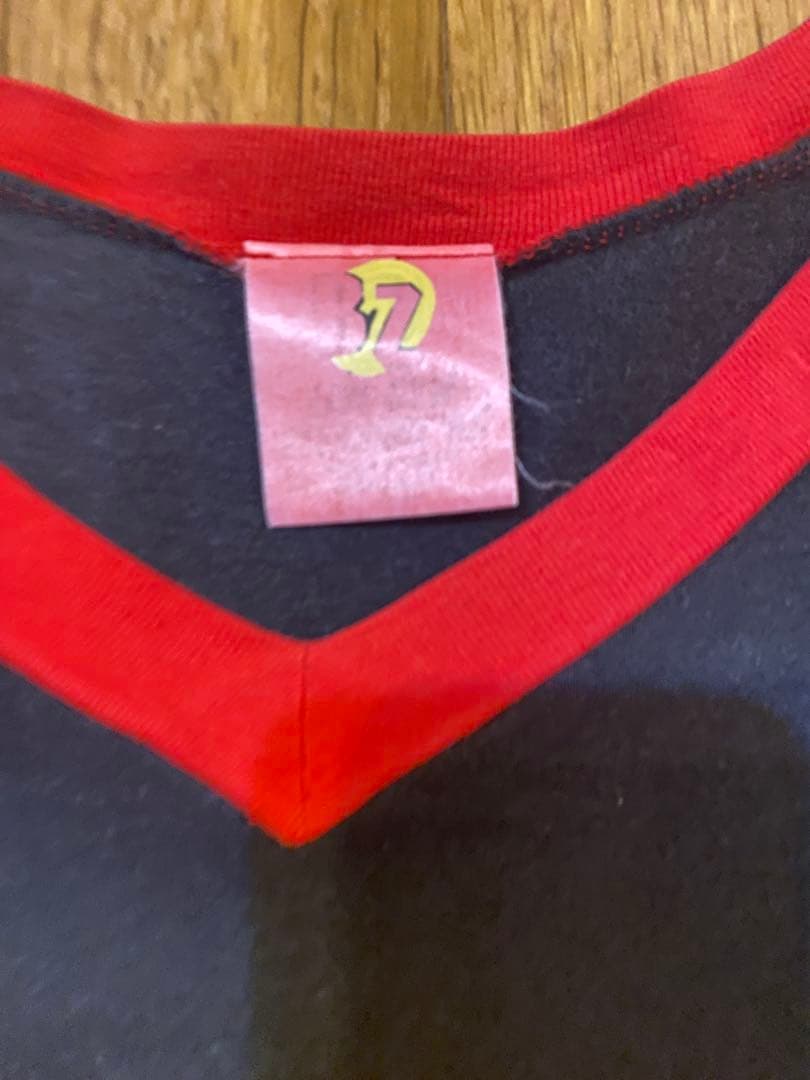 レア　B'z LIVE GYM 1995 BUZZ ライブTシャツ & タオル