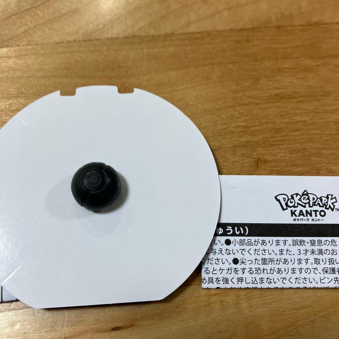 ポケパークカントー ピンズ　２個セット⑨