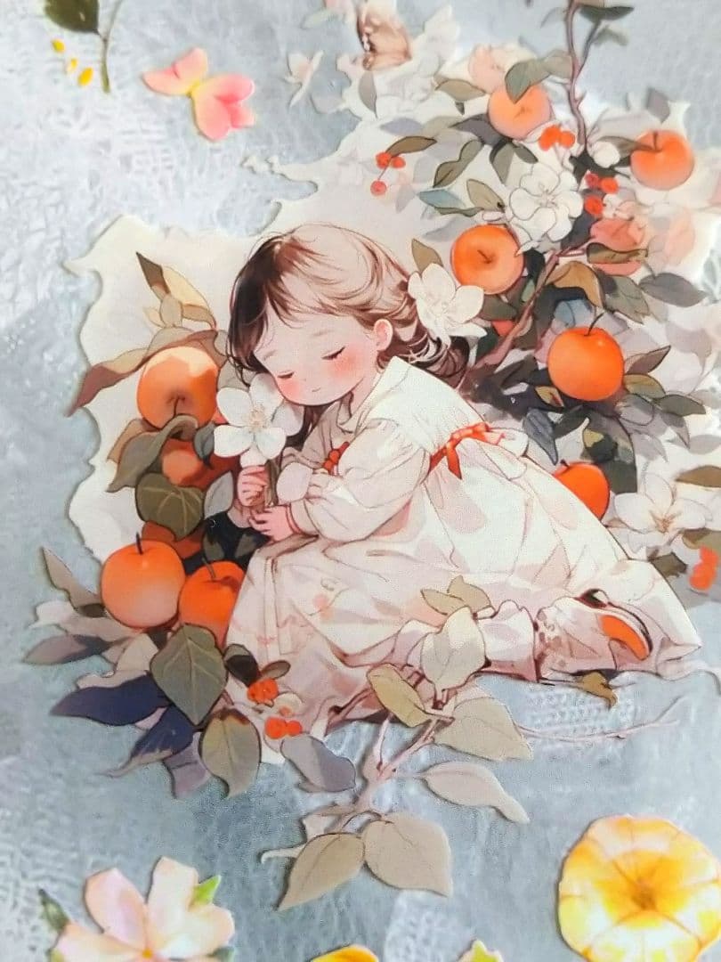 ✩再販✩J837＃与忧(PET)如终野切り売り海外人物女の子AIマステ