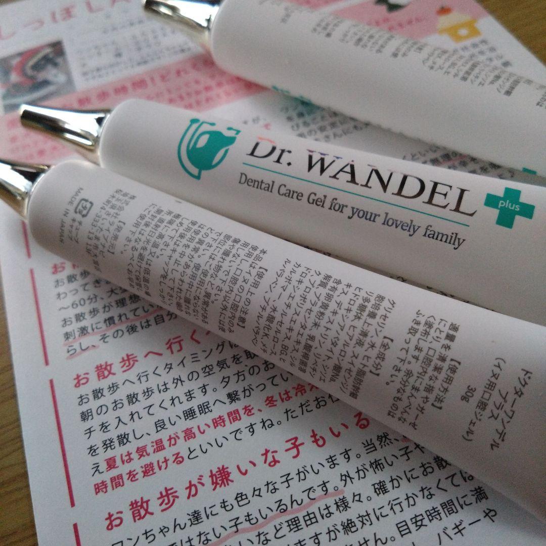 Dr. WANDL デンタルケアジェル 3本セット