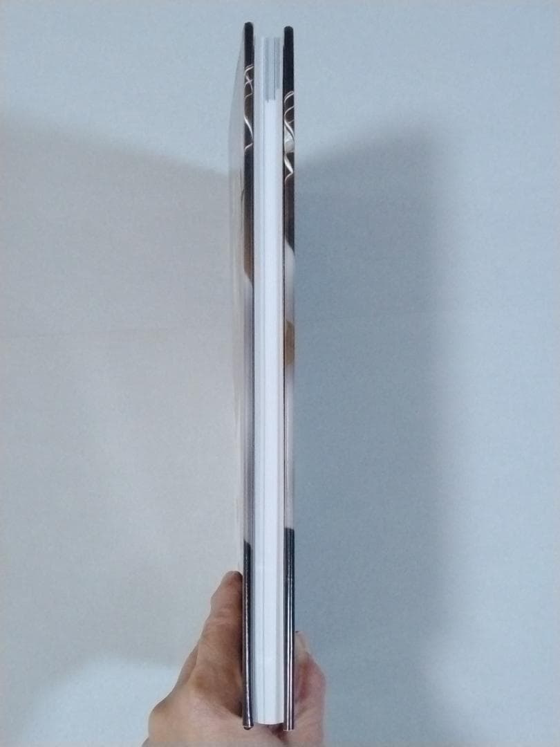 「※希少本　ケース付き」　BURST GANG　高嶋元能　1999年　オリジナル