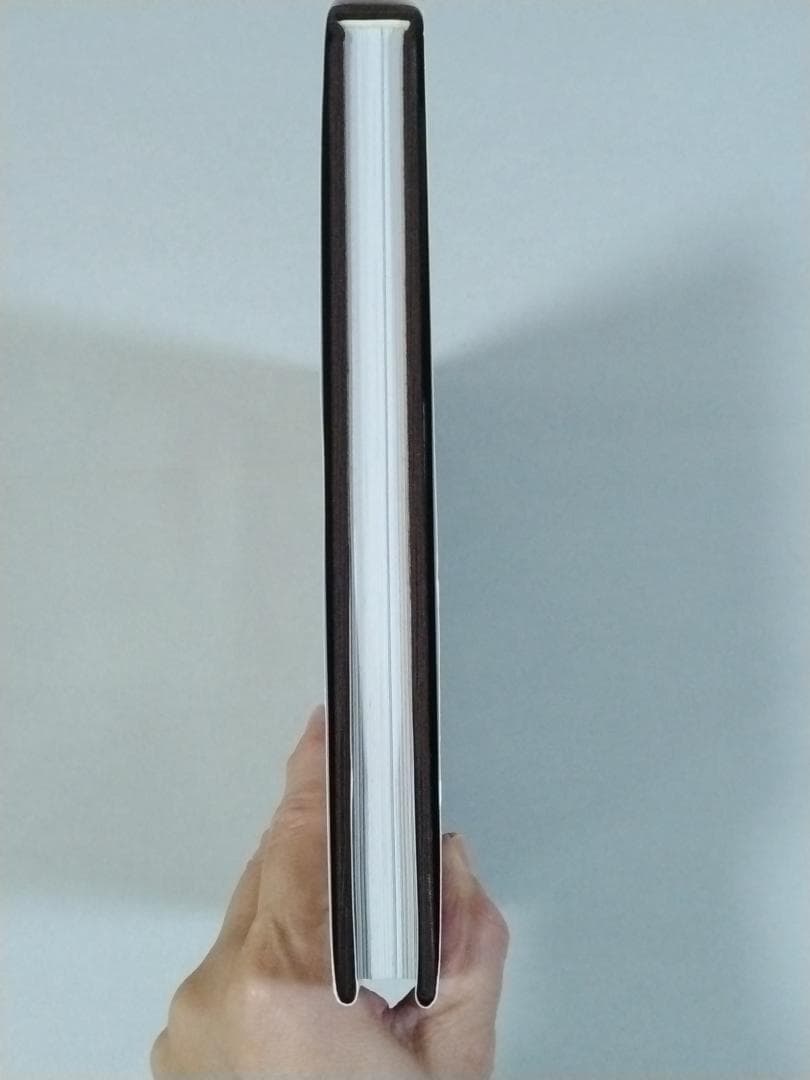 「※希少本　ケース付き」　BURST GANG　高嶋元能　1999年　オリジナル