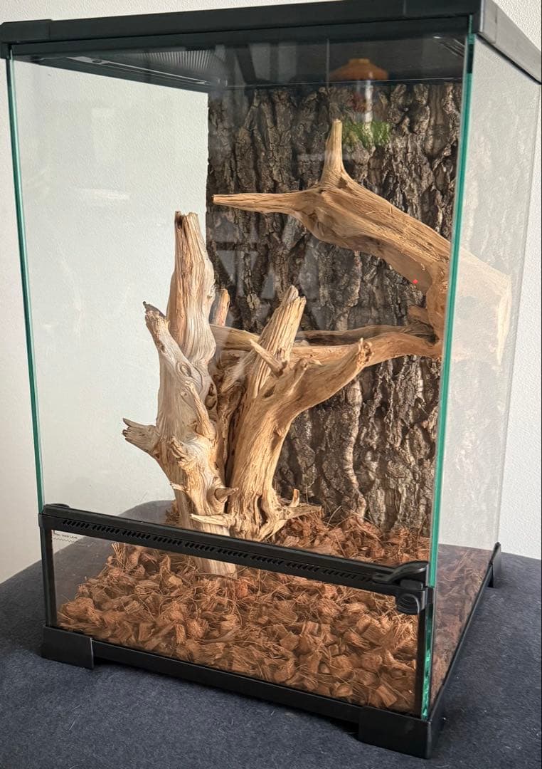 30×30×45 ガラステラリウム 中型 流木レイアウト付
