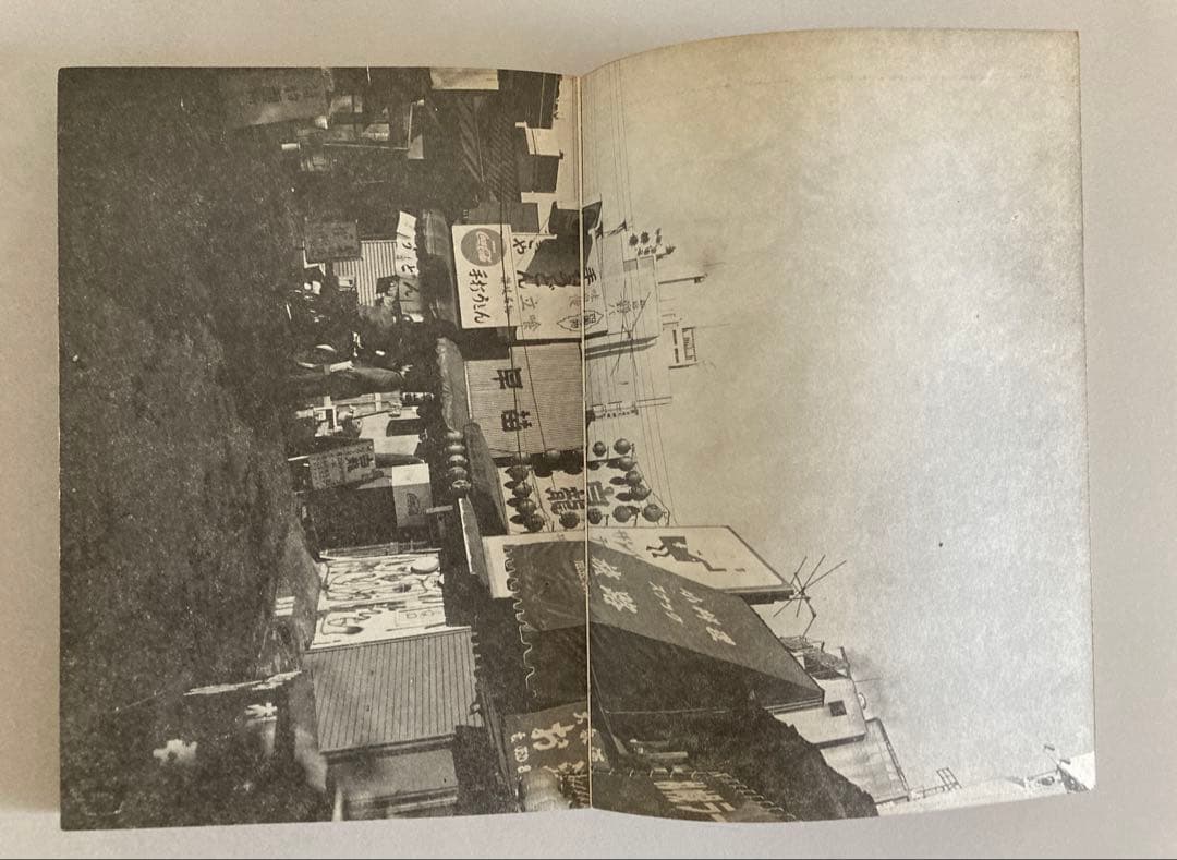 中平卓馬 まずたしからしさの世界をすてろ プロヴォーク