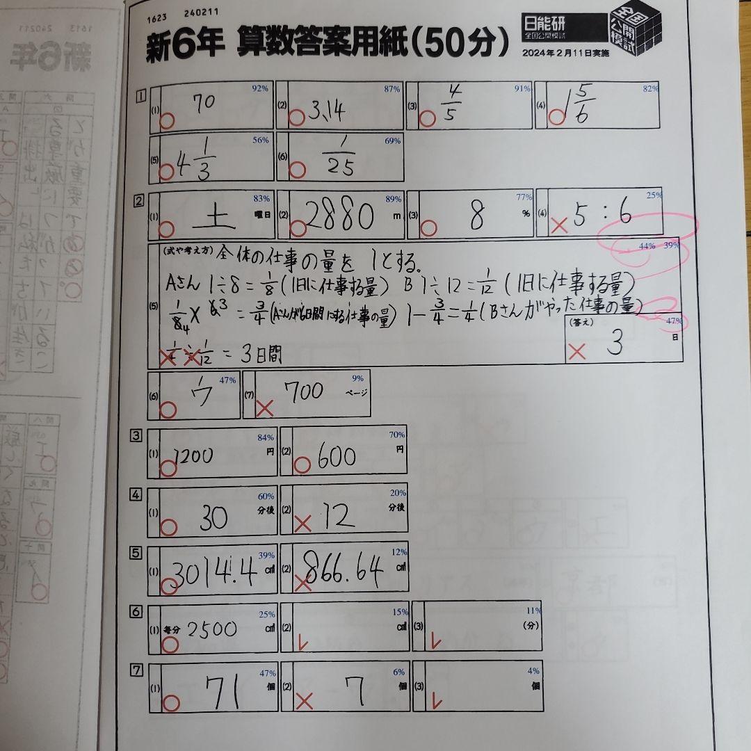 2024年　日能研　6年生　テスト　1年分　全国模試　育成テスト