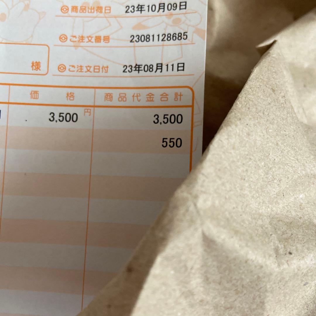 横浜記念デッキ ピカチュウ　WCS2023 ポケモン　※希望額をコメントへ