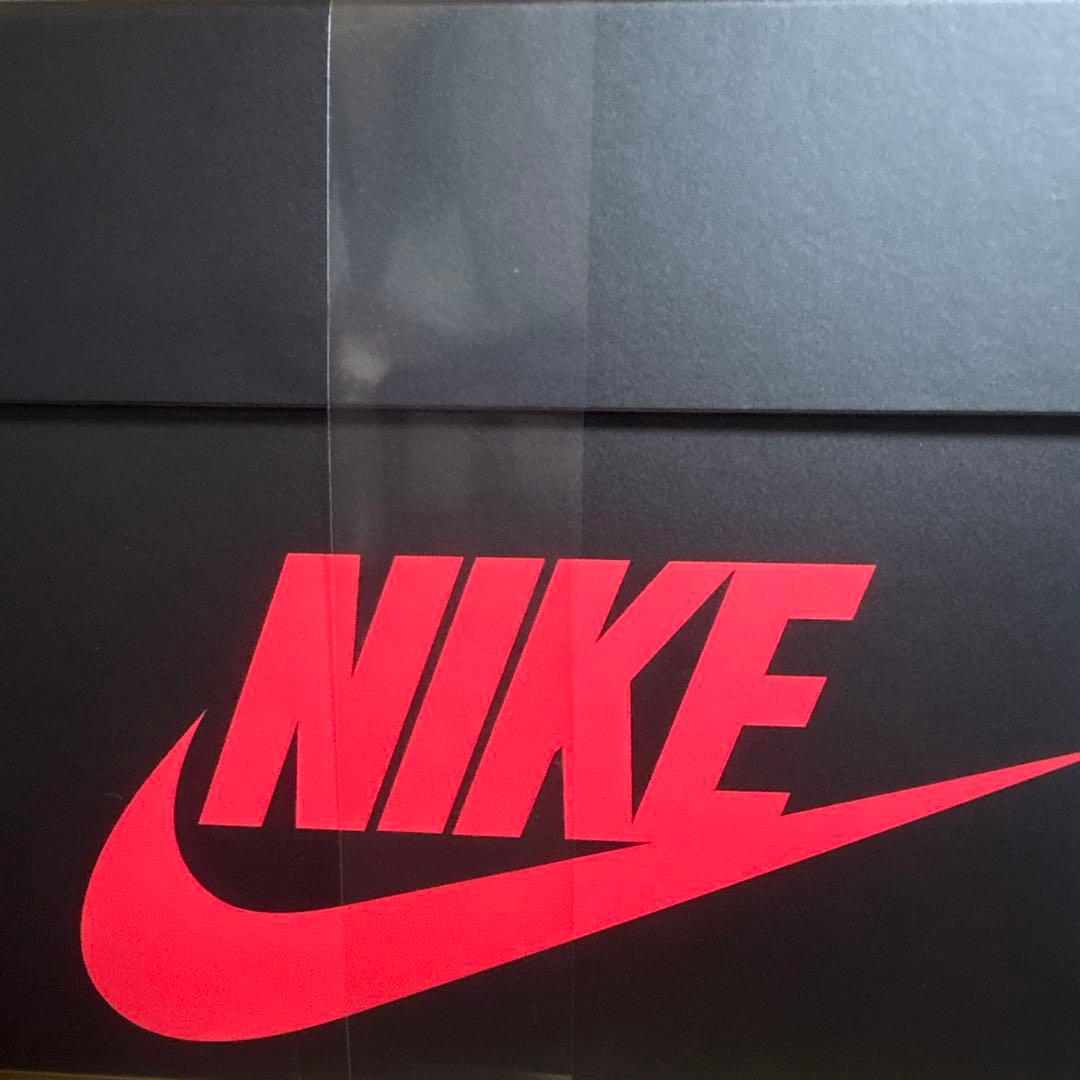 【新品未開封】NIKE AIR JORDAN 　MODEL KIT