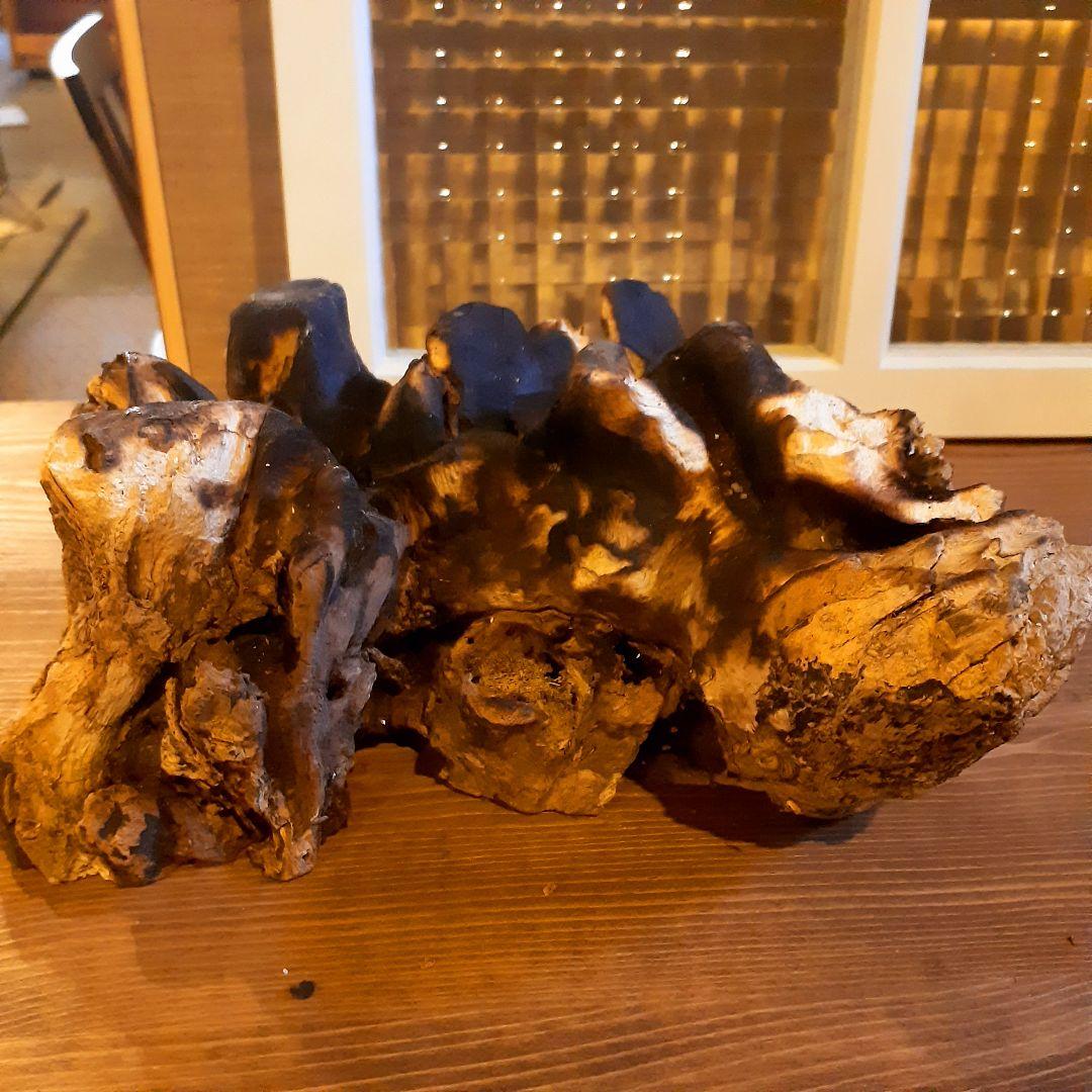 輸入雑貨　バリ島　手吹きガラスアート　オブジェ　天然木仕様　ハンドメイド