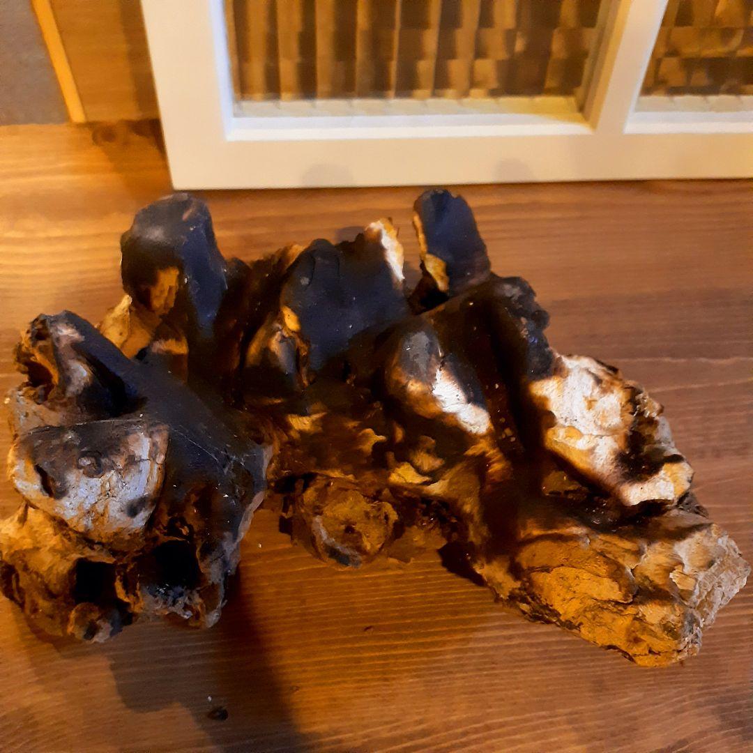 輸入雑貨　バリ島　手吹きガラスアート　オブジェ　天然木仕様　ハンドメイド