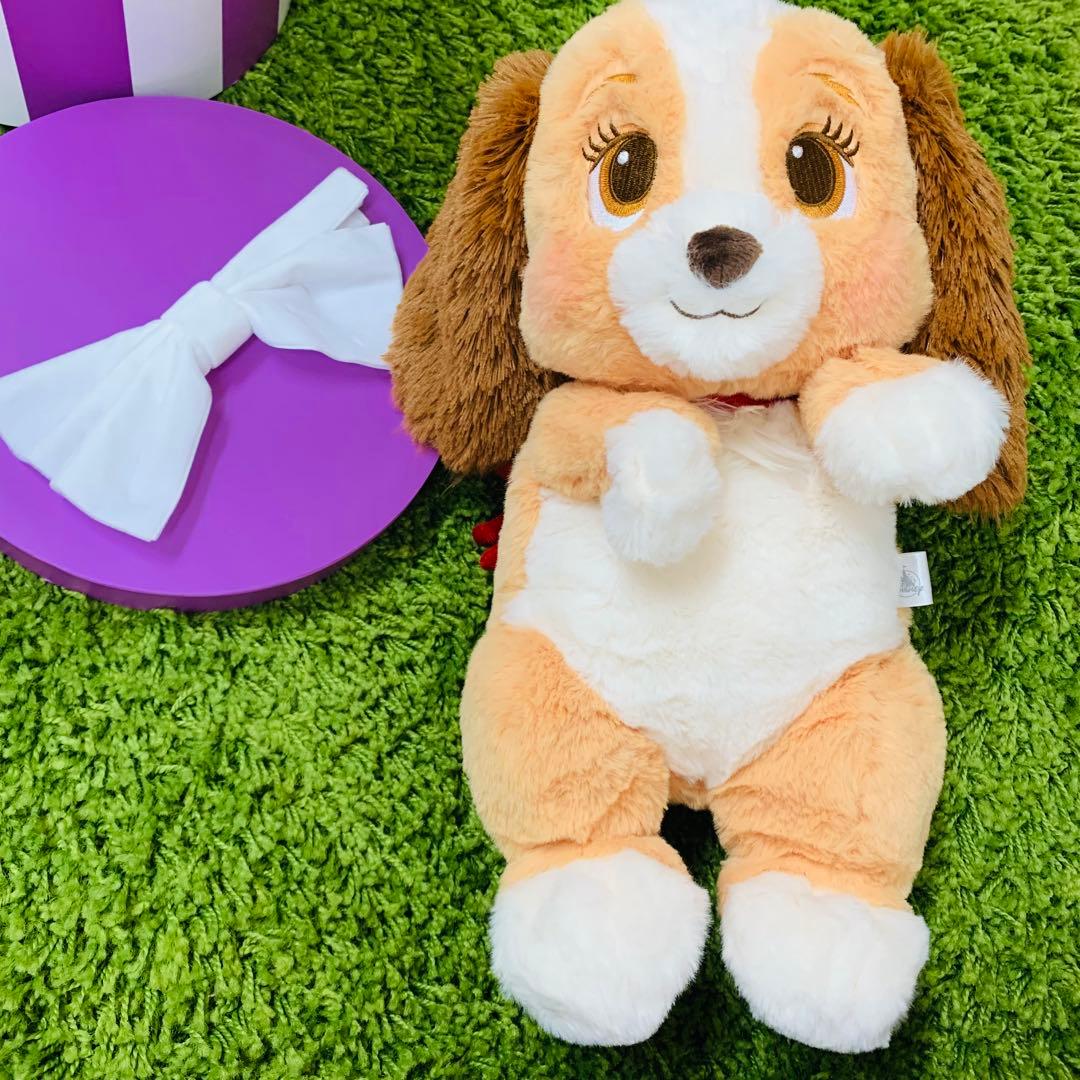 レディ ぬいぐるみ ボックス入り LADY AND THE TRAMP 70TH