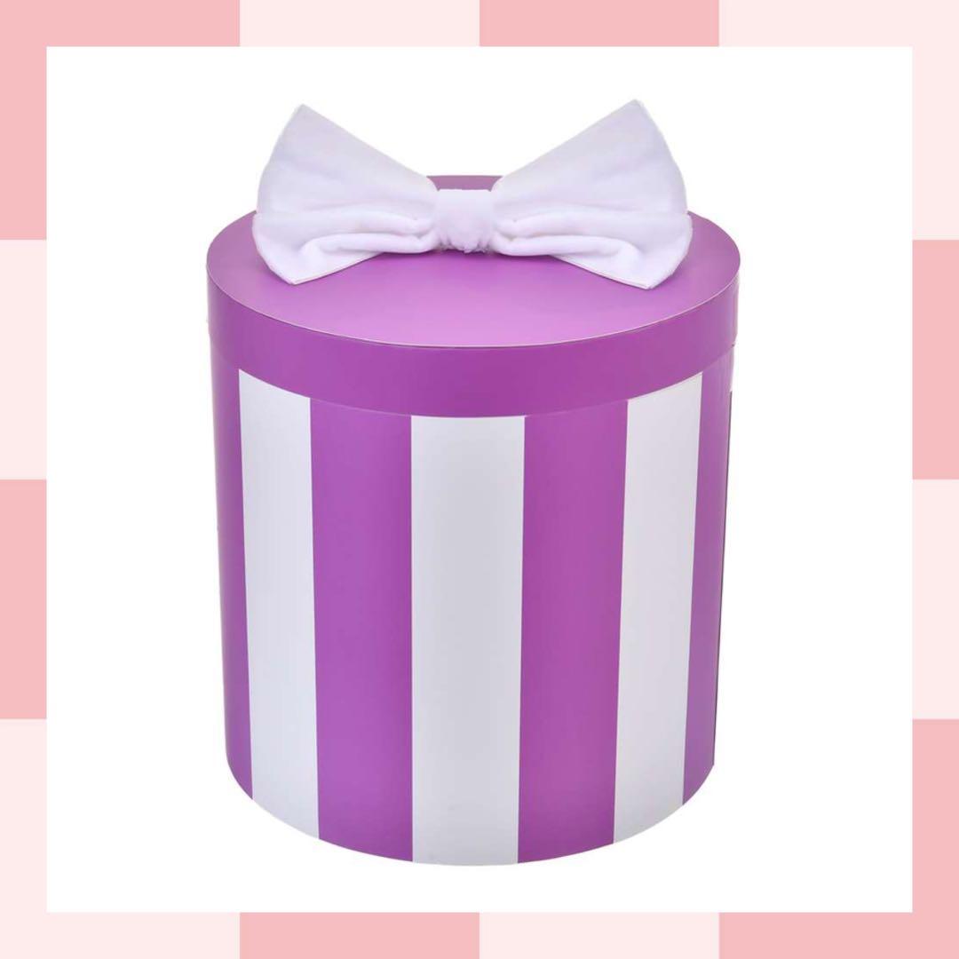 レディ ぬいぐるみ ボックス入り LADY AND THE TRAMP 70TH