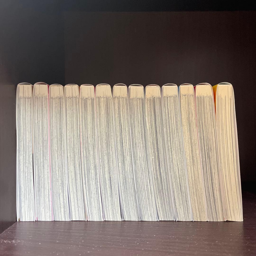 おしかけ王子は2度おいしい 全13巻