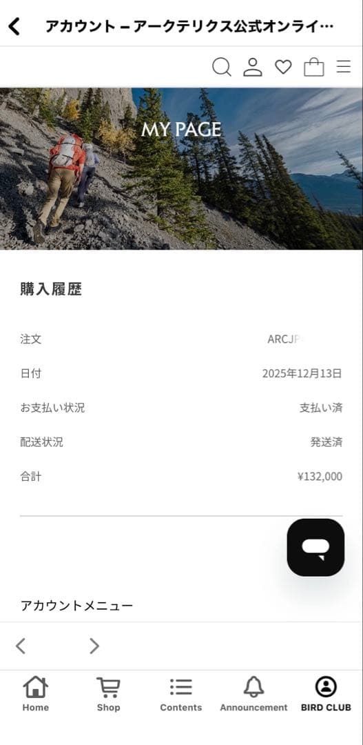 Arc'teryx GORE-TEX スノーボードウェア　セイバーアノラック