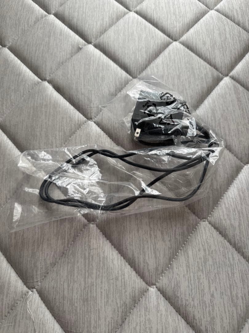 美品Nintendo Switch Lite グレー + ケース+カセット