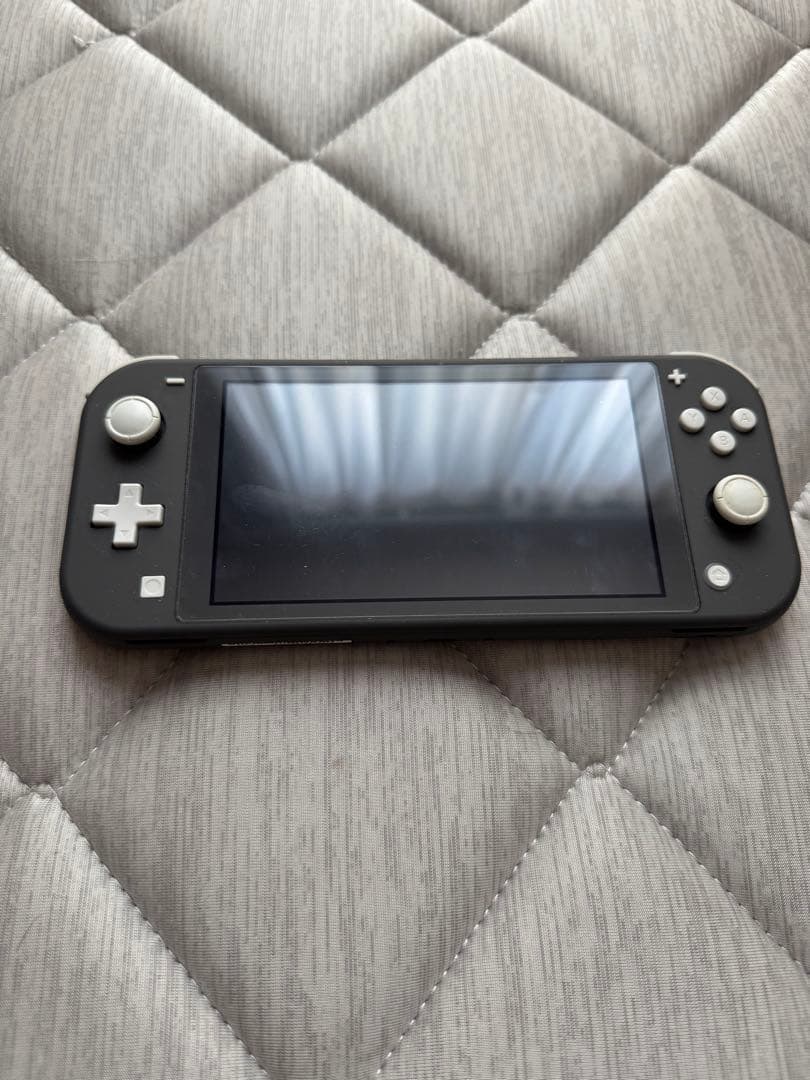 美品Nintendo Switch Lite グレー + ケース+カセット