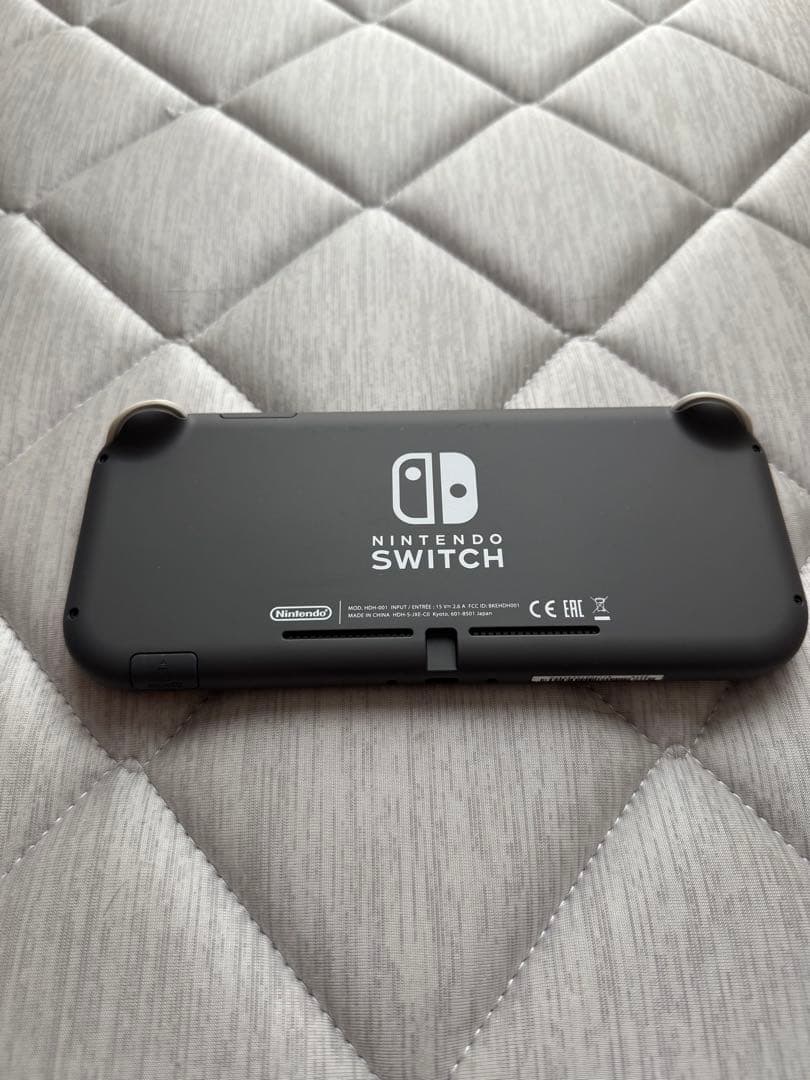 美品Nintendo Switch Lite グレー + ケース+カセット