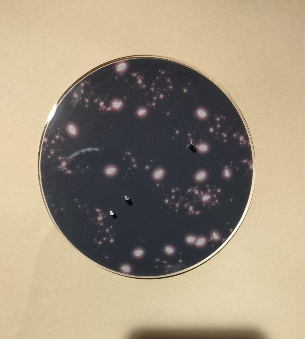 英雄伝説 軌跡 シズナ ARTFX J 特典付き フィギュア