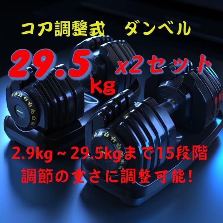 コア調整式ダンベル65LB（約29.5kgX2個セット）新デザイン
