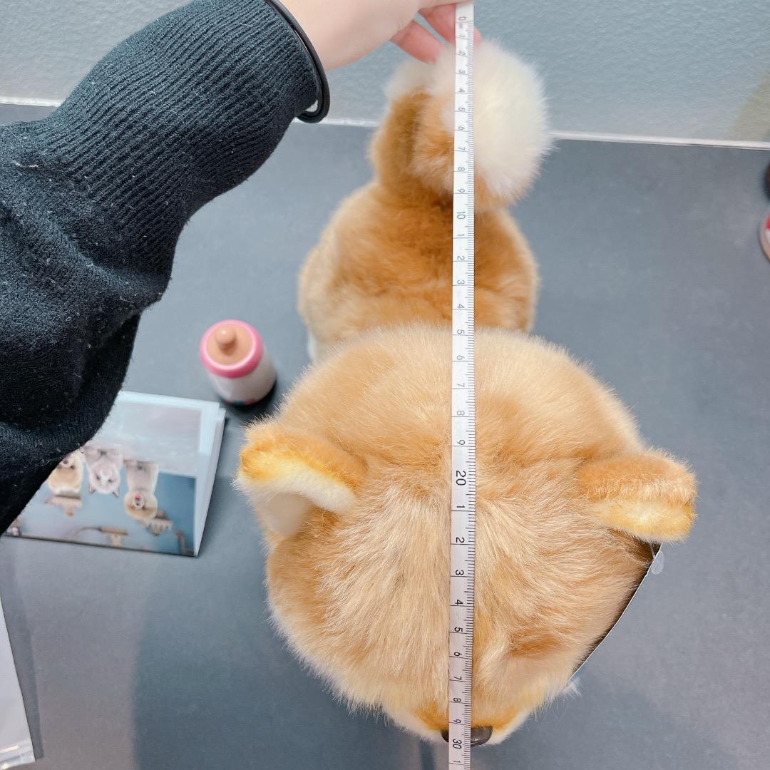 ✦電子ウォーキング 秋田犬 ぬいぐるみ 歩くおもちゃ 吠える 電池 鳴く