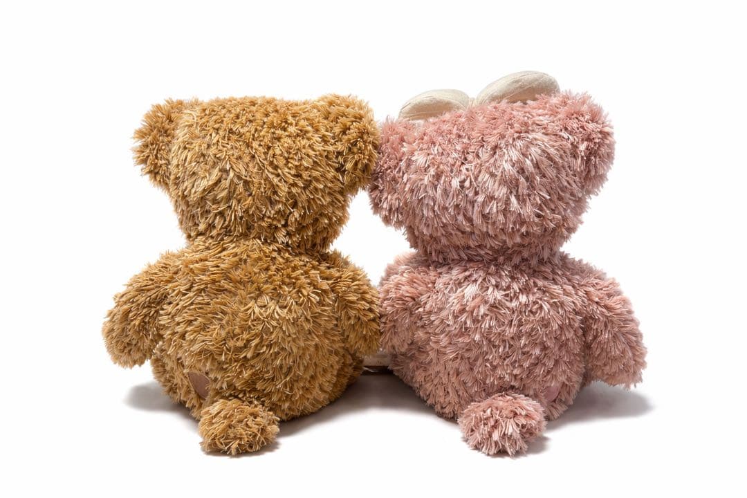 Disney ダッフィ、シェリーメイM