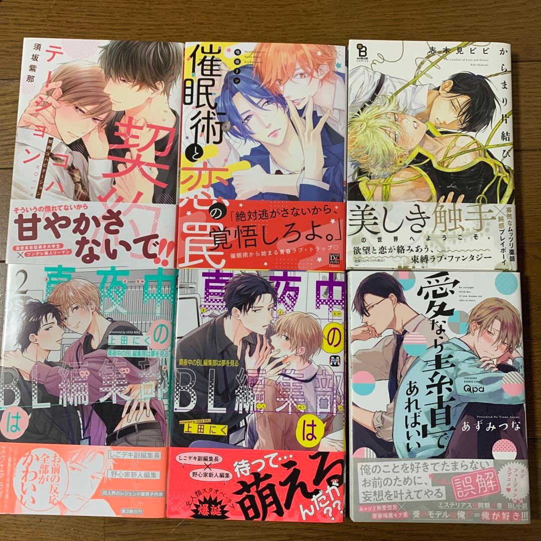 商業BL まとめ売り 24冊セット