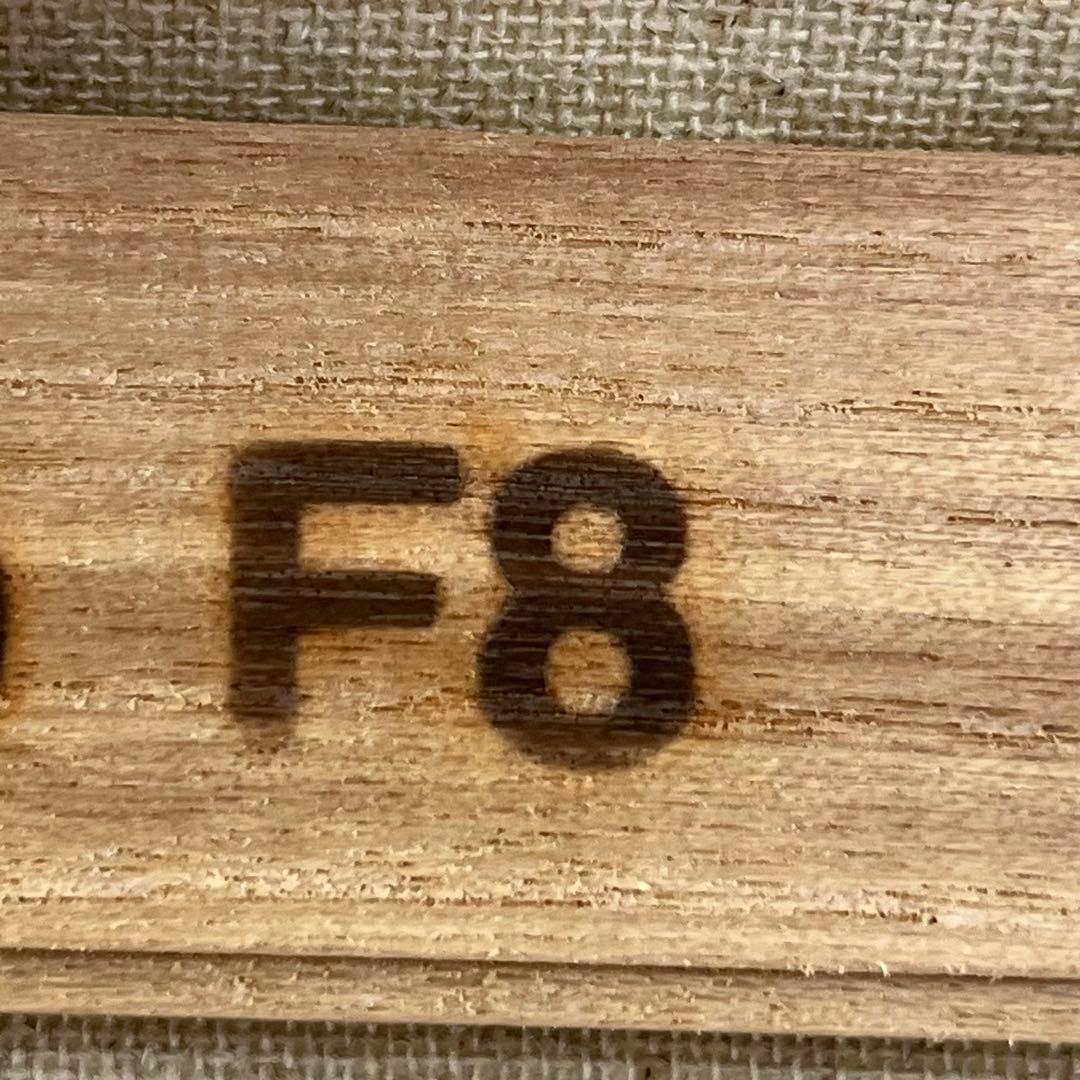 テクスチャーアート　ボタニカル フラワーアート 花図鑑 フランフラン