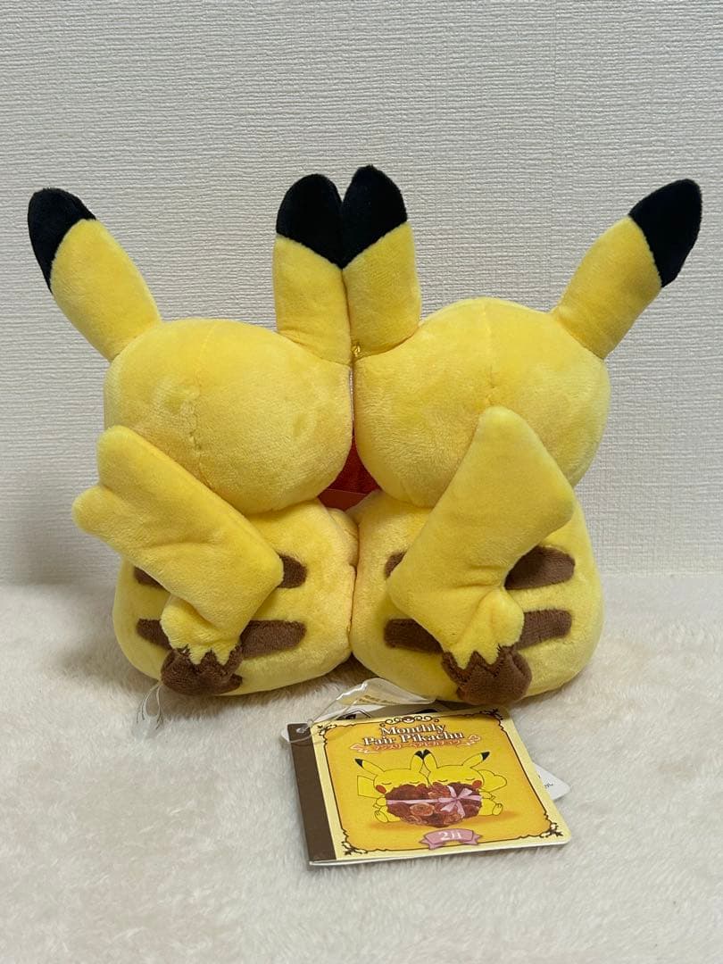 ポケモンセンター マンスリーペアピカチュウ 2月 ぬいぐるみ