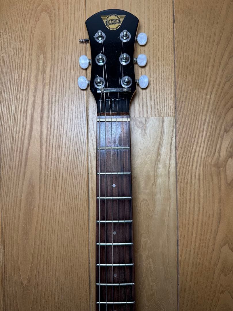 Pignose ピグノーズ 楽器 アンプ内蔵ミニギター