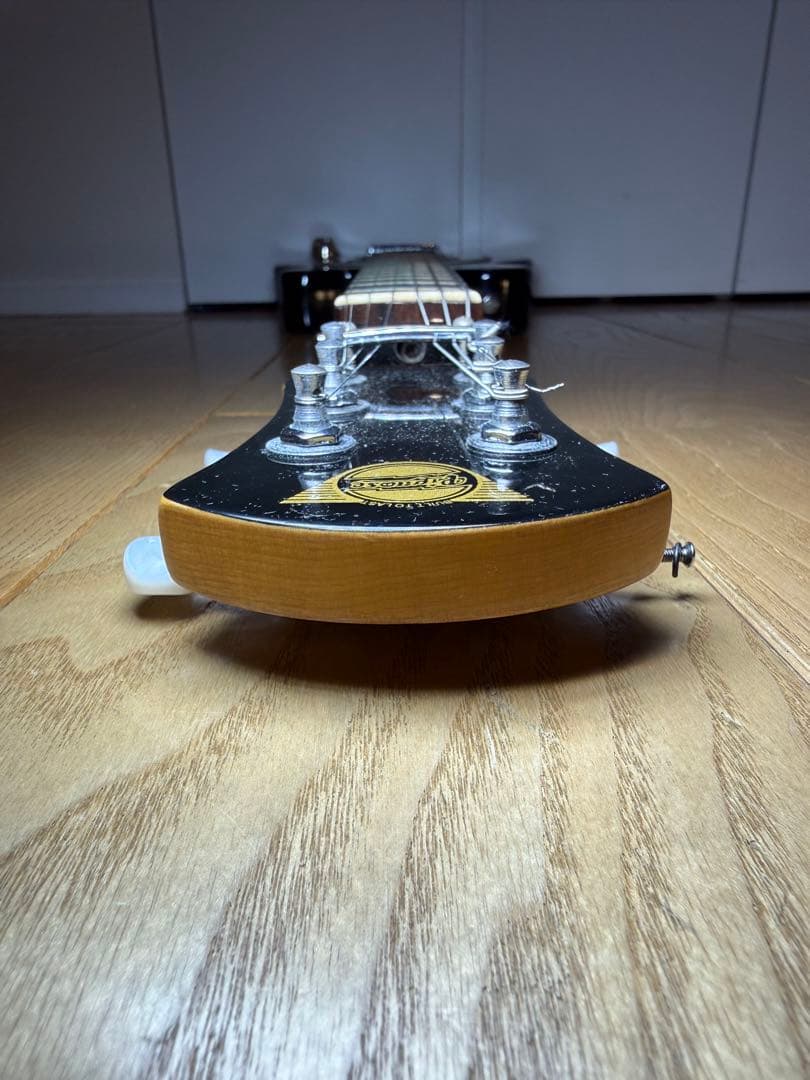 Pignose ピグノーズ 楽器 アンプ内蔵ミニギター