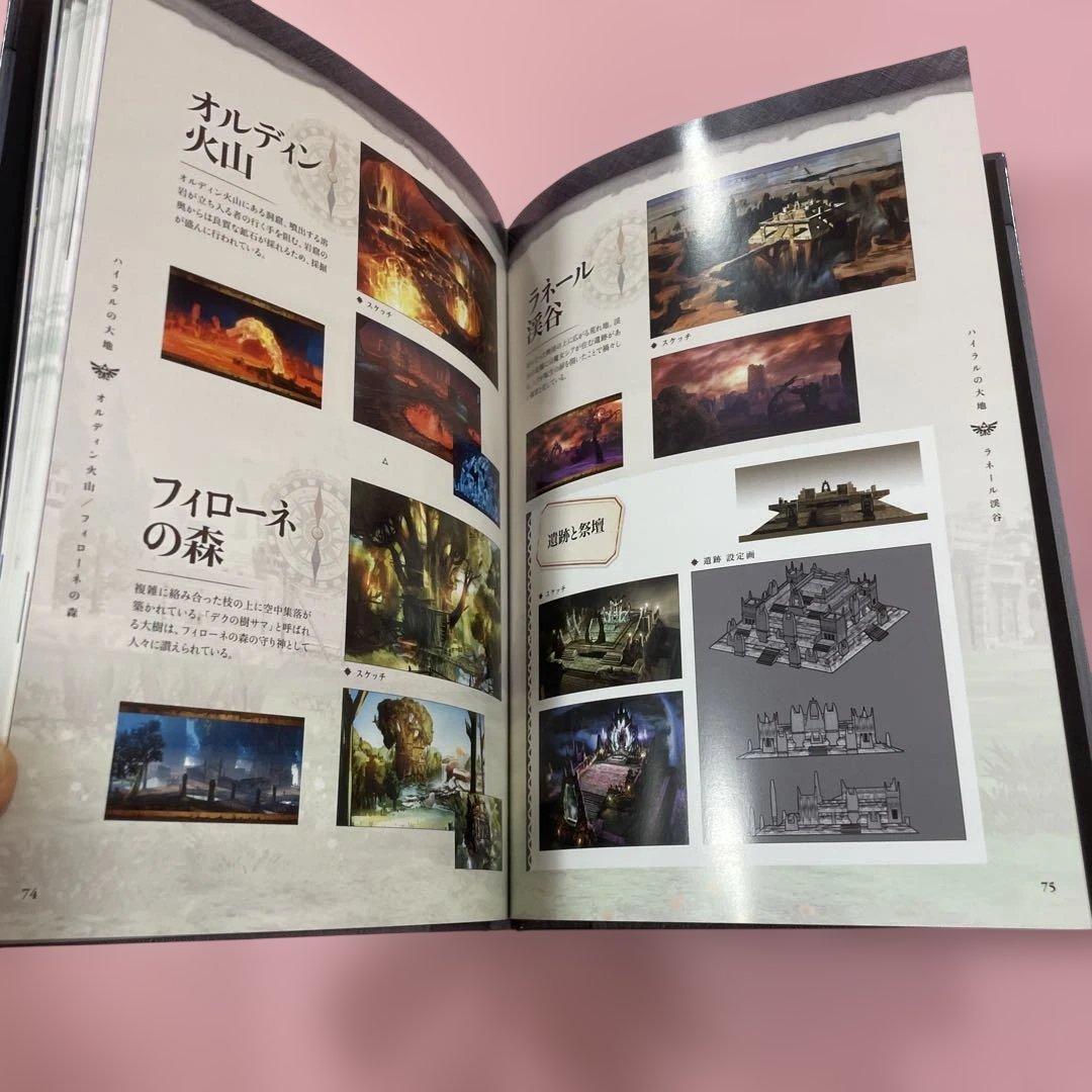 3DS ゼルダ無双 ハイラルオールスターズ TREASURE BOX 付属品完備