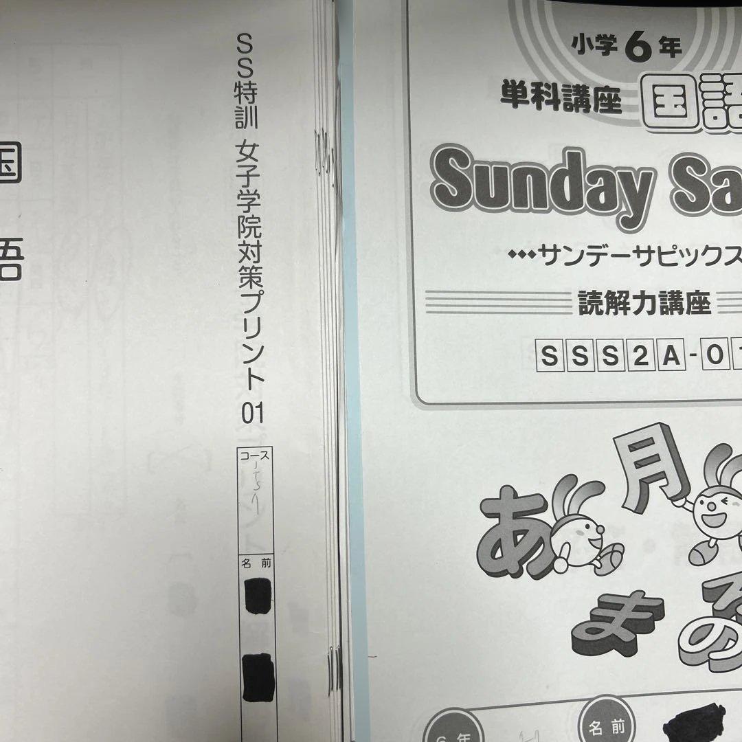 ㉓み　サピックス　SAPIX SS特訓　志望校別講座　女子学院　4科目セット