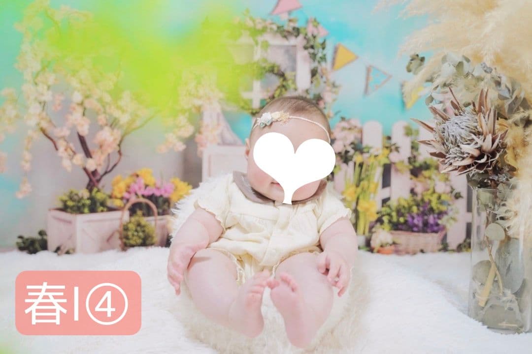 背景布×10枚+2　ペット撮影用ブース　トリミングチョーカー販売中　ペットサロン