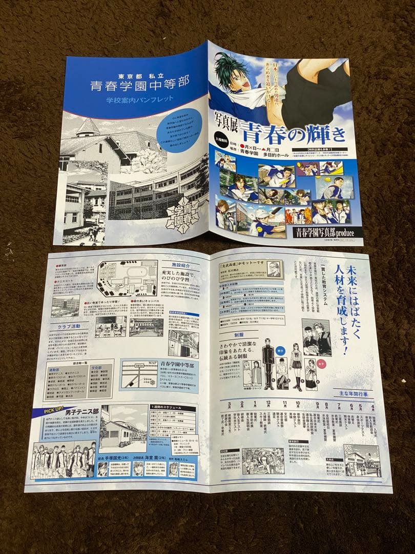 ★非売品★テニスの王子様 テニプリ パーティー 学校案内パンフレット 6校セット