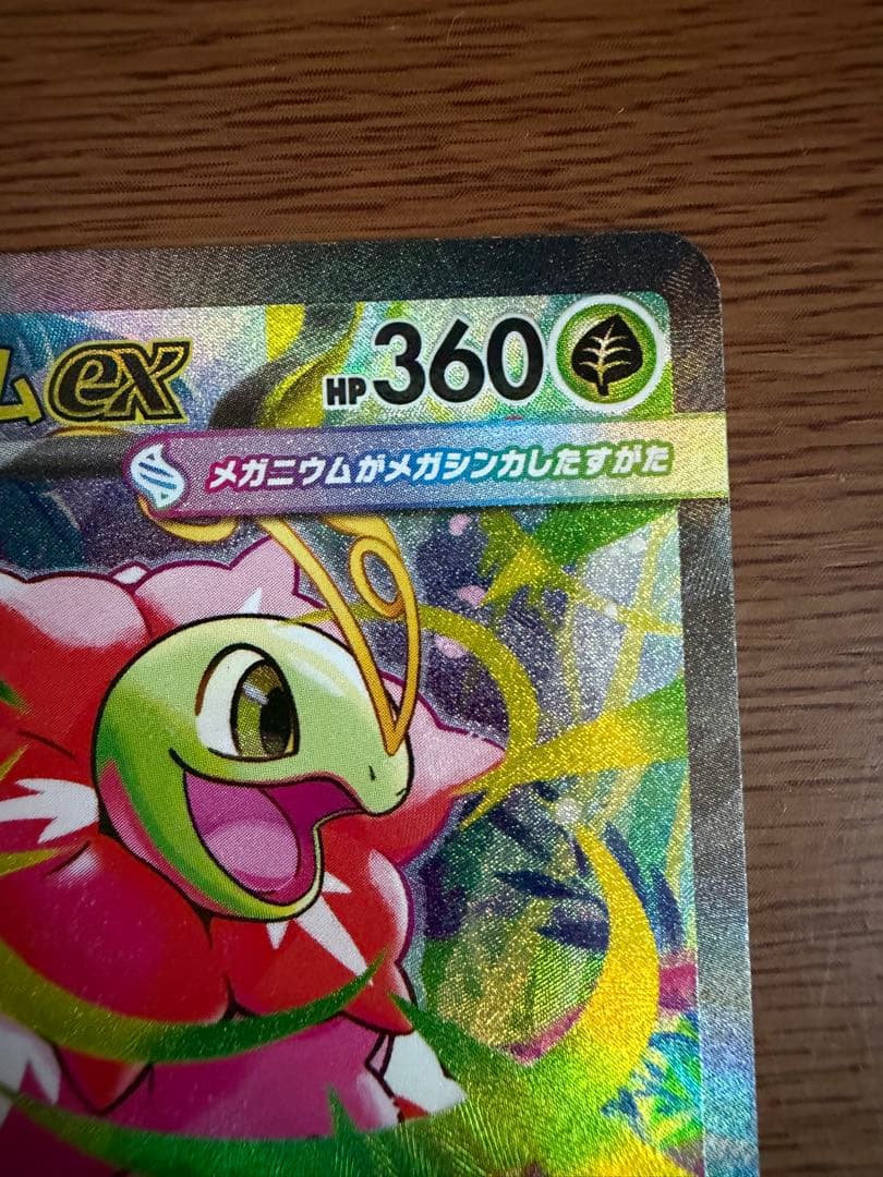 メガメガニウムex SAR　761/742