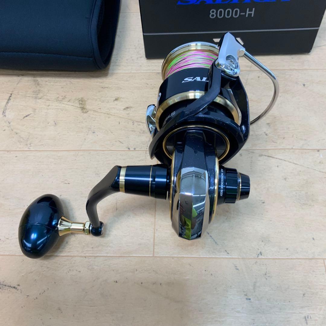 ダイワ　20SALTIGA（ソルティガ）　8000-H
