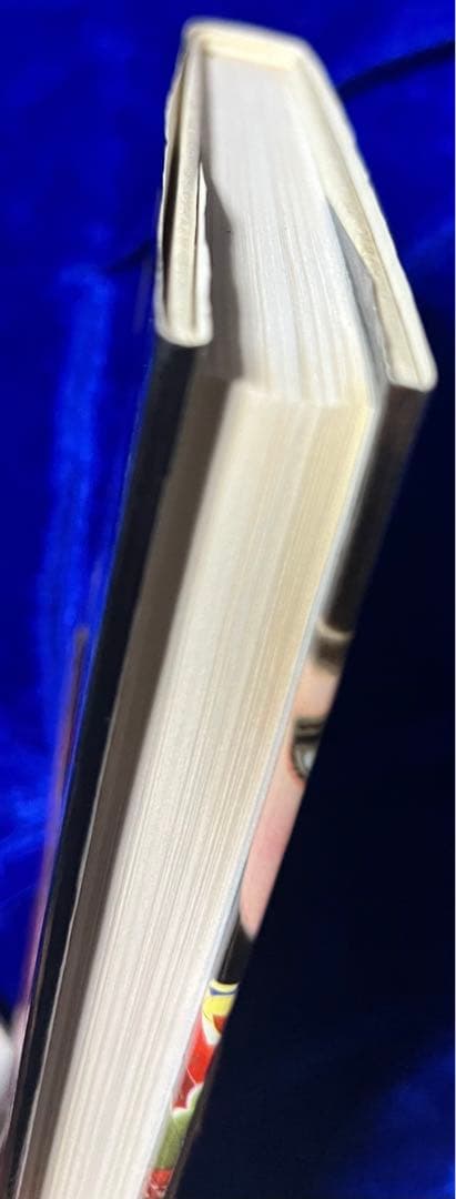 【集英社】内田善美イラストクロス＋草迷宮・草空間＋星の時計のLiddell×3