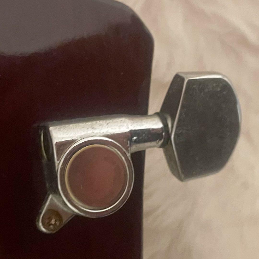 Pro Martin　custom　　EA500W　WRS エレアコ　ギター