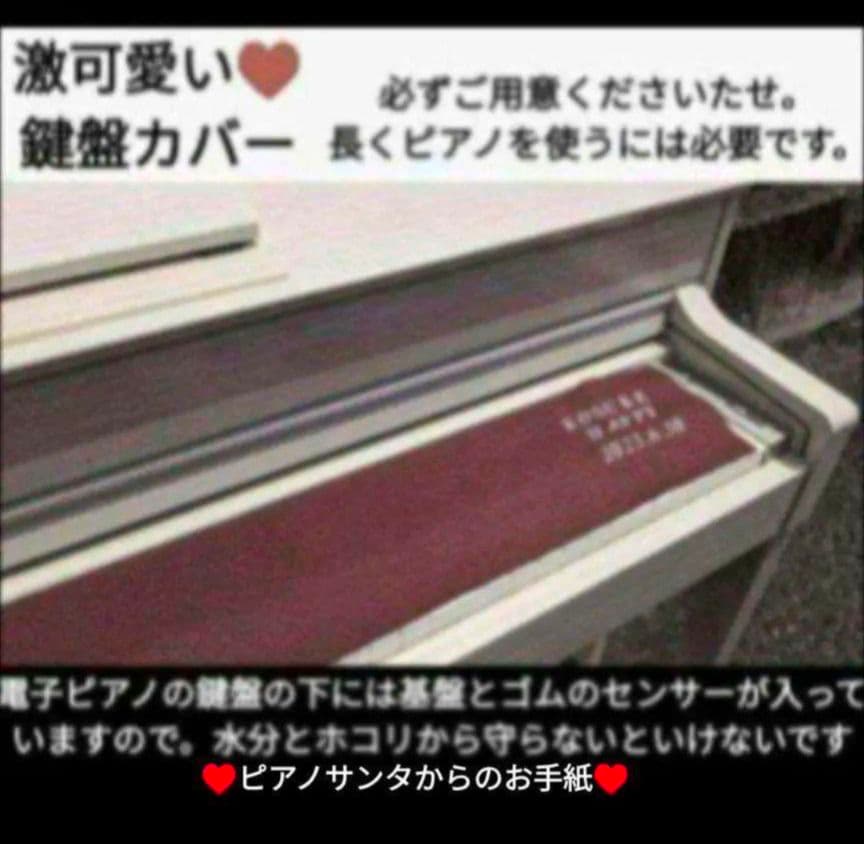 送料込み KAWAI 木製鍵盤 電子ピアノ CA49R 21年購入激激激可愛い♥