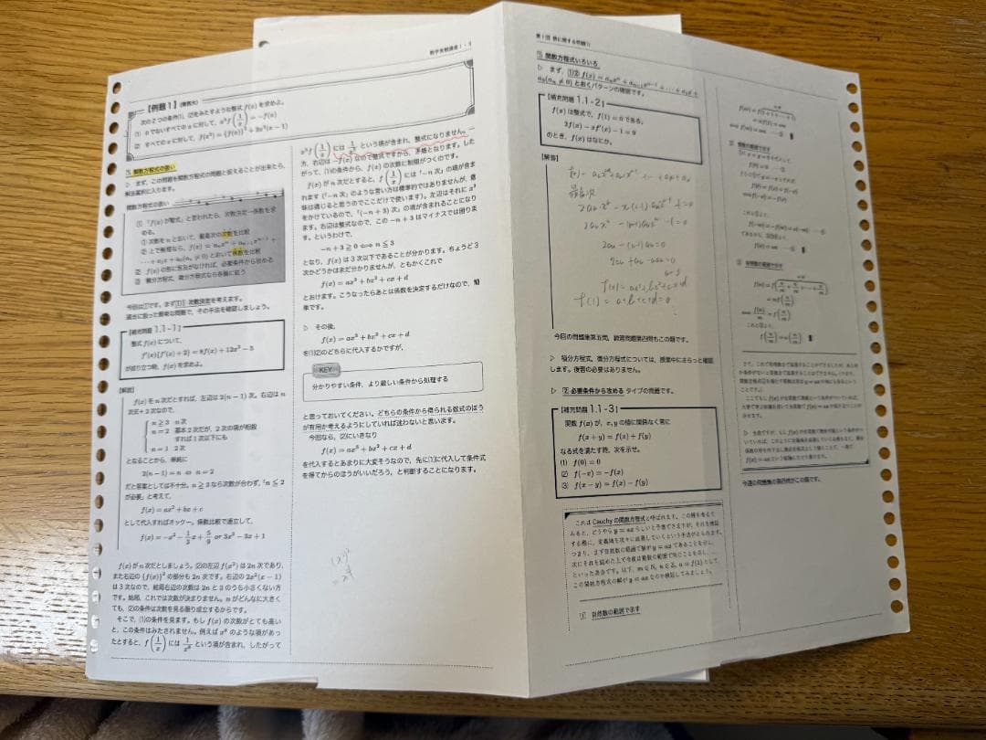 鉄緑会　高二数学実践　名物講師授業プリント・復習テスト(問題＆回答)・計算テスト