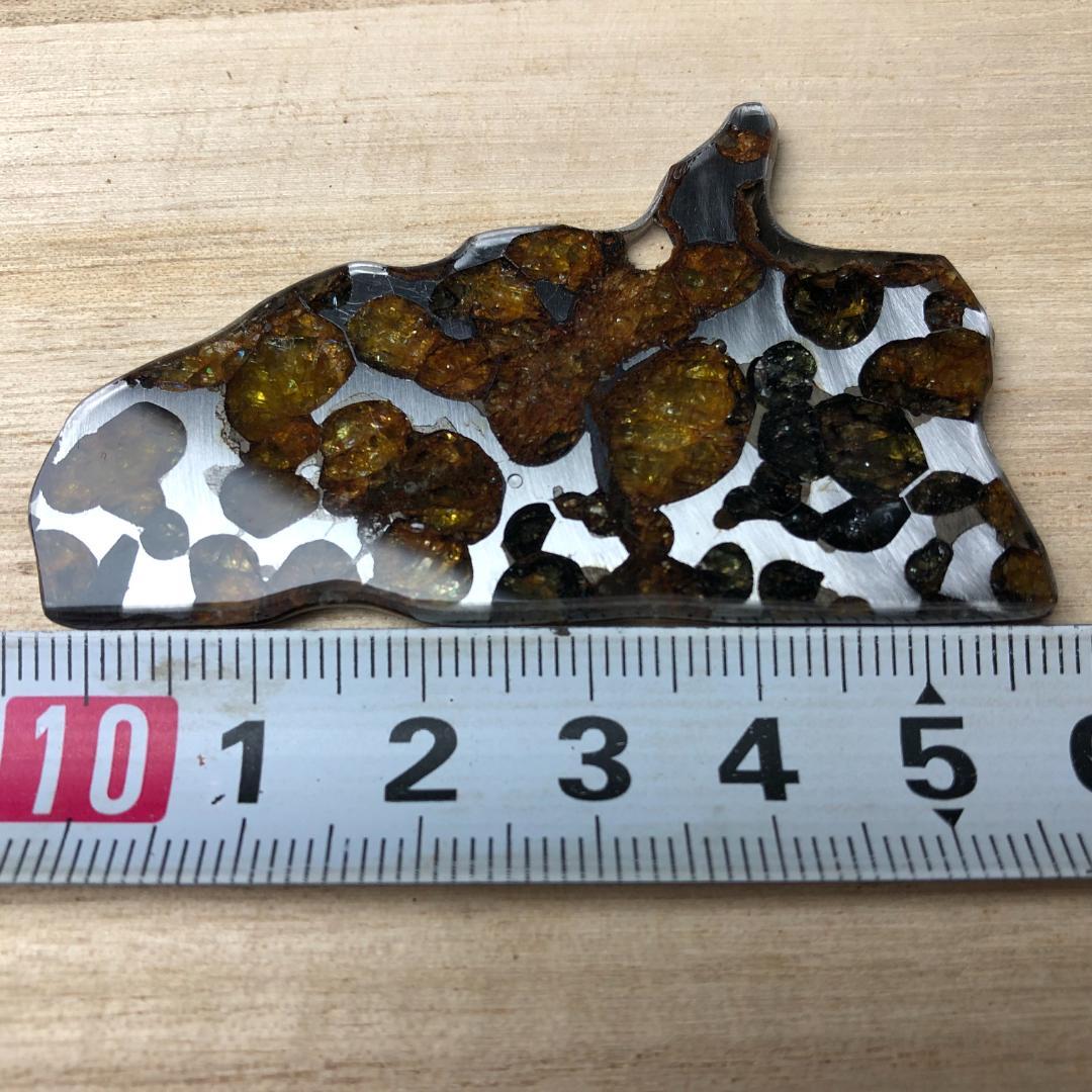 パラサイト隕石 隕石　石鉄隕石　セリコ隕石 美品　重さ約14ｇ　ケース付き