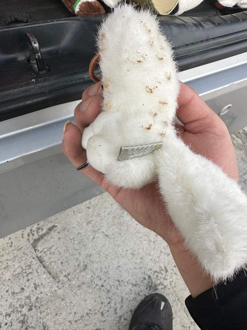 ご当地キティ ハローキティ 立山黒部　アルペンルート　ぬいぐるみ