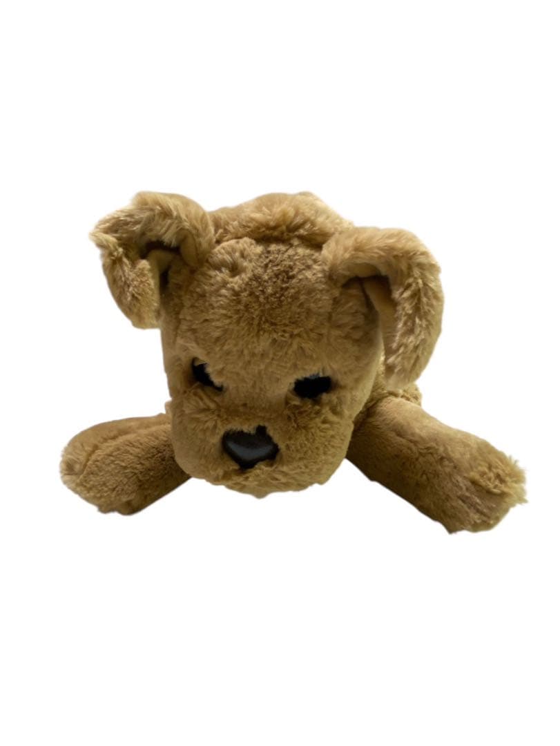 新品ココチモ ダッキー スター おうち付 タカラトミー 新品電池付き