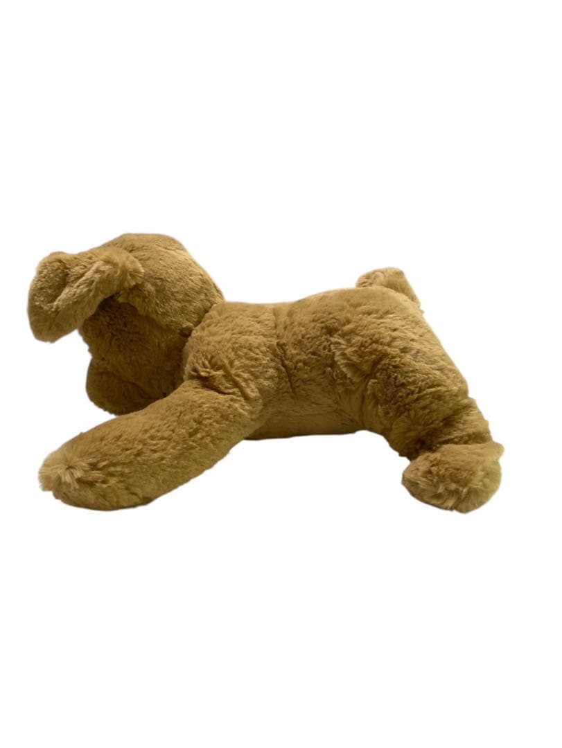 新品ココチモ ダッキー スター おうち付 タカラトミー 新品電池付き